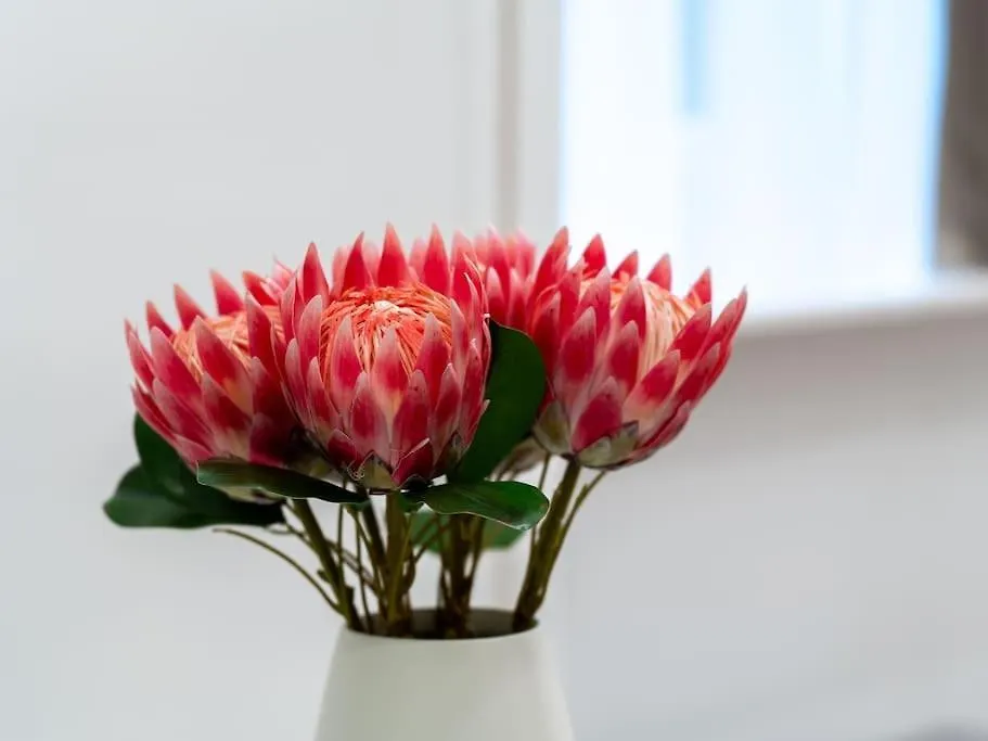 בודפשט Loft 8 - Cozy Stylish Stay With Parking דירה